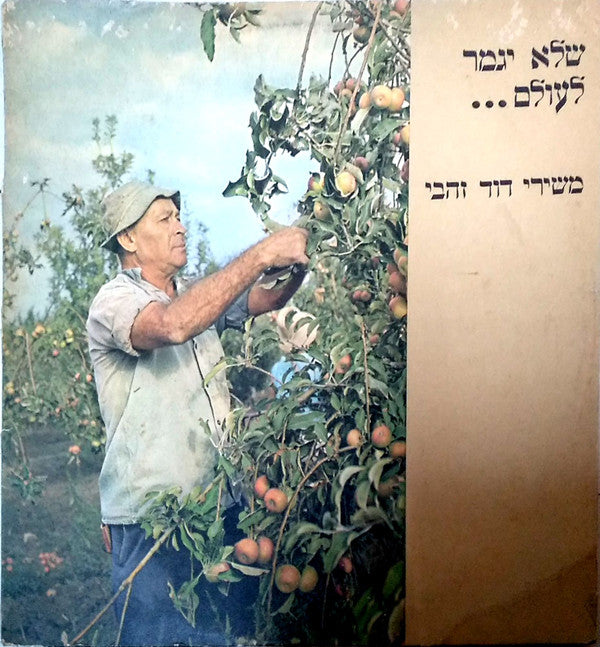 Various : שלא יגמר לעולם... משירי דוד זהבי = David Zahvi's Songs (LP)