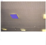 Various : Warp10+1 Influences (2xCD, Comp)