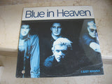 Blue In Heaven : I Just Wanna  (12")