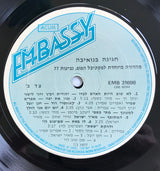 Various : חגיגה בנואיבה (LP, Comp, RE, Emb)