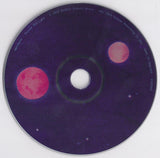 Pavement : Terror Twilight (CD, Album)