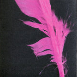 מיכה שטרית* : מסמרים ונוצות (CD, Album, RE)