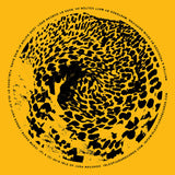 Jura Soundsystem : Monster Skies (12", EP)