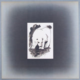 Cat Stevens : Foreigner (LP, Album, Pit)