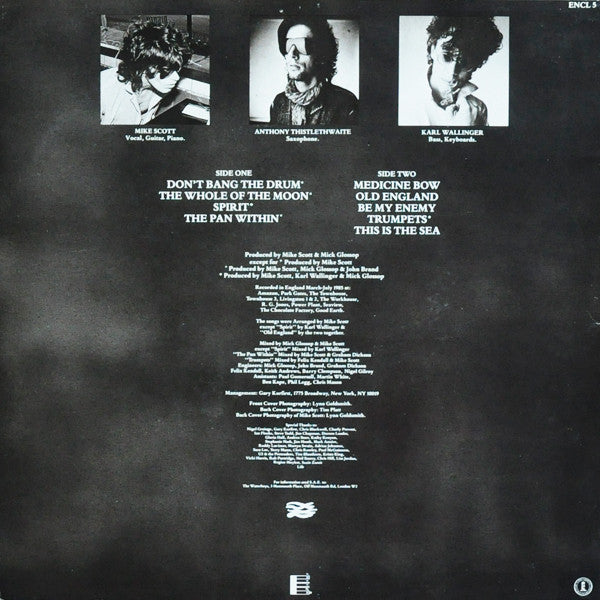 The Waterboys : This Is The Sea (LP, Album)