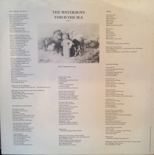 The Waterboys : This Is The Sea (LP, Album)