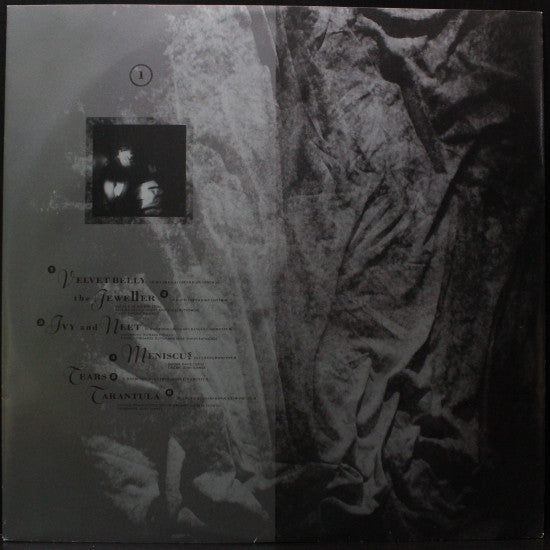 This Mortal Coil : Filigree & Shadow (2xLP, Album)