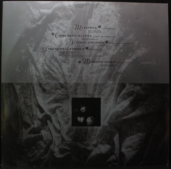 This Mortal Coil : Filigree & Shadow (2xLP, Album)