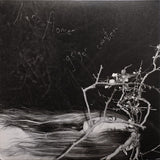 Liar, Flower : Geiger Counter (2xLP, Album)