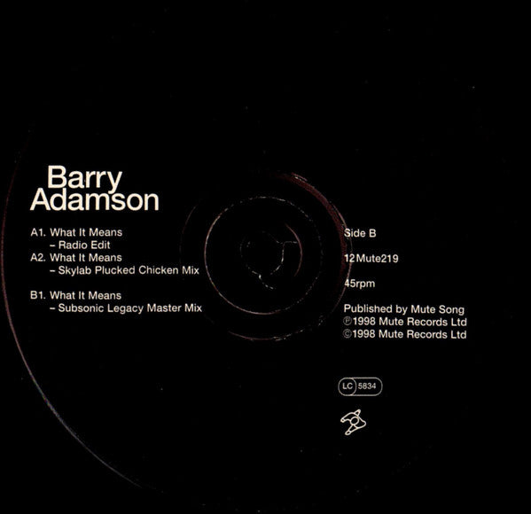 Barry Adamson : What It Means (12")