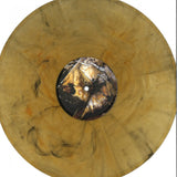 Rapha (10) : Visionia (12", Mar)