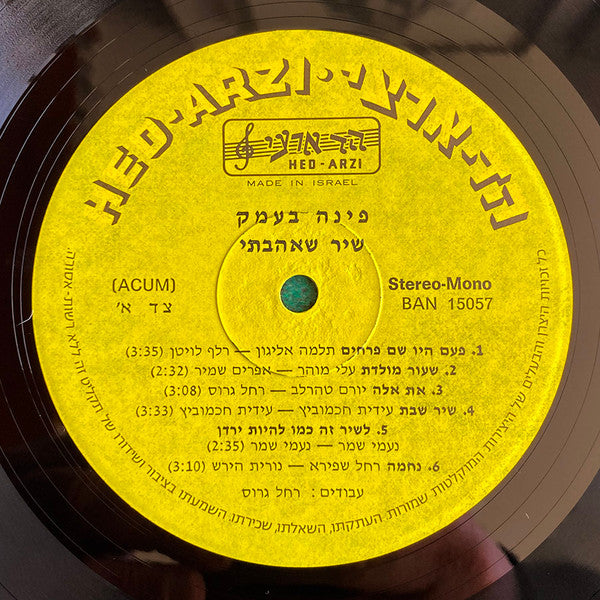 להקת פינה בעמק : שיר שאהבתי (LP, Album)