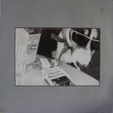 The House Of Love : A Spy In The House Of Love (LP, Comp)