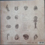 Asaf Avidan & The Mojos : The Reckoning (LP, Album, RE)