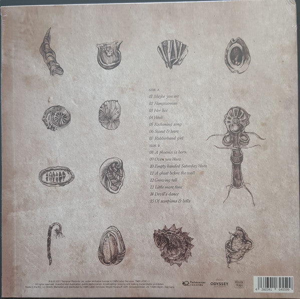 Asaf Avidan & The Mojos : The Reckoning (LP, Album, RE)