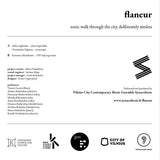 Vilnius City Contemporary Music Ensemble Synaesthesis* : Flaneur: Sonic Walk Through The City, Deliberately Aimless (LP, Album, whi)