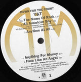 Y & T : Down For The Count (LP, Album, RCA)