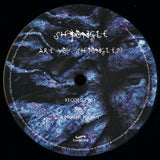 Shpongle : Are You Shpongled? (3xLP, Album, RE, RM)