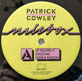 Patrick Cowley : Malebox (LP, Album)