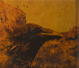 Tomahawk (6) : Anonymous (CD, Album)