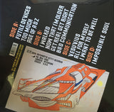 Sufjan Stevens : The Age Of Adz (2xLP, Album, 180)