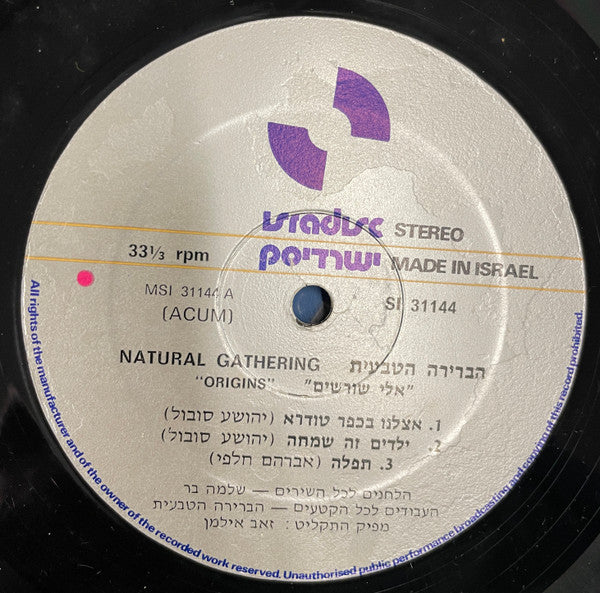 הברירה הטבעית* : אלי שורשים (LP, Album)