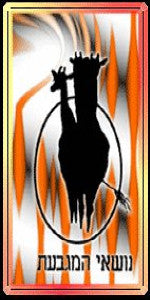 נושאי המגבעת* : הופעה במופ"ת נהריה 1989 (VHS)