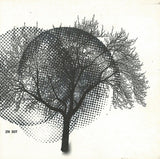 Ziv* : Dot (CD, Album)