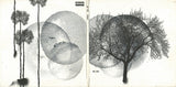 Ziv* : Dot (CD, Album)
