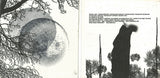 Ziv* : Dot (CD, Album)