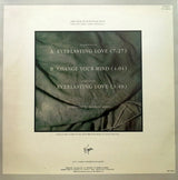 Sandra : Everlasting Love (12", Maxi)