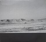 ארז לב ארי*, פטריק סבג : העץ הבודד (CD, Album)