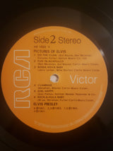 Elvis Presley : Pictures Of Elvis (LP, Album, Comp, RE)