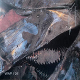 Two Lone Swordsmen : A Virus With Shoes (12", EP)