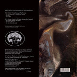 Two Lone Swordsmen : A Virus With Shoes (12", EP)