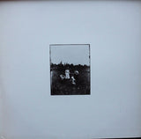 Judy Collins : True Stories (LP, Album)