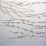 Zegunder : Distant Birds? Thought They Were Leaves... (CD, Album)