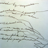Zegunder : Distant Birds? Thought They Were Leaves... (CD, Album)