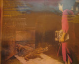 Brand X (3) : Do They Hurt? (LP, Album)