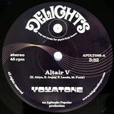 Voxatone : Altair V (7", Single)