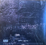 Shye Ben-Tzur, Jonny Greenwood, The Rajasthan Express : Ranjha (LP, Album, Ltd, Cor)