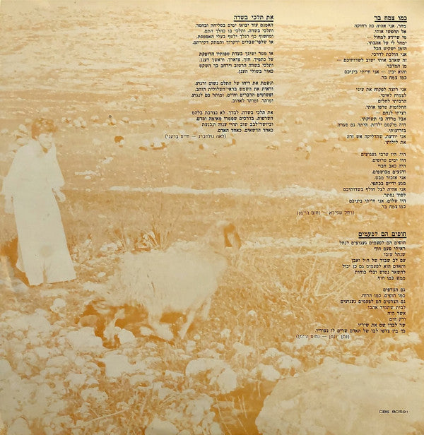 חוה אלברשטיין* = Chava Alberstein : כמו צמח בר = Like A Wildflower (LP, Album)