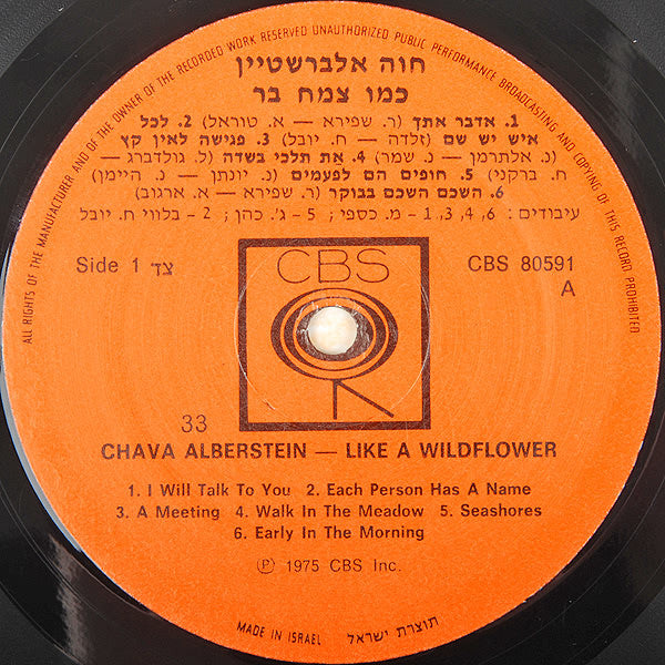 חוה אלברשטיין* = Chava Alberstein : כמו צמח בר = Like A Wildflower (LP, Album)