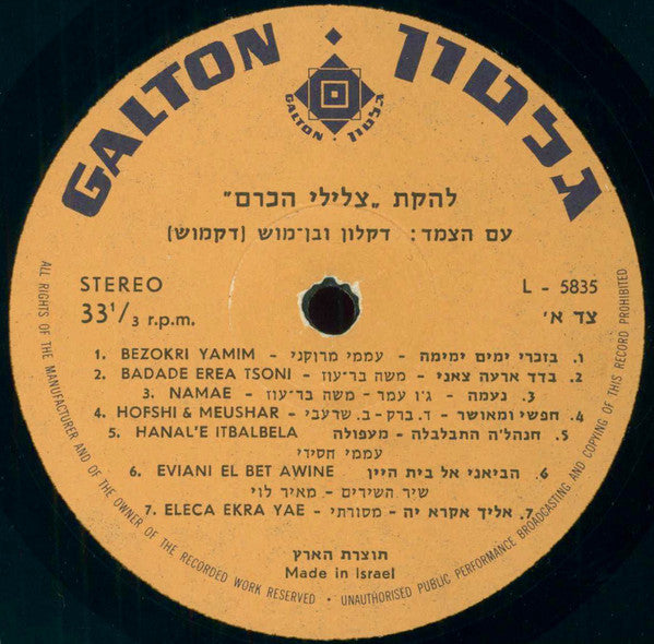 Tszliley Hakerem : בזכרי ימים ימימה (LP, Album)