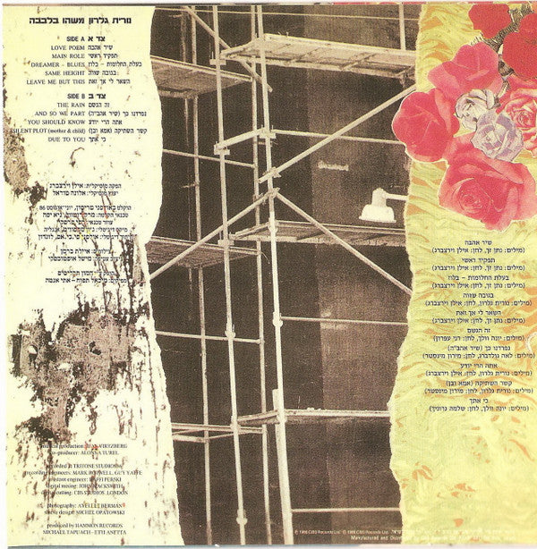 נורית גלרון* = Nurit Galron : משהו בלבבה = Heartfelt (LP, Album)