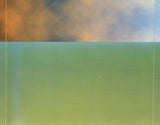 Brian Eno : The Drop (CD, Album)