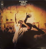 רמי פורטיס* = Rami Fortis : פלונטר = Plonter (LP, Album)