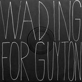 Different Fountains : Muybridge / Wading For Guyton (12")