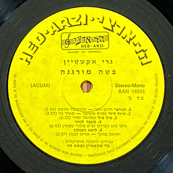 גרי אקשטיין* : פטה מורגנה (LP)