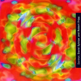 David Sylvian And Robert Fripp* : Darshan (CD, Single)